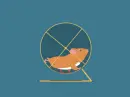 hamster