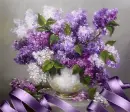 syringa