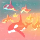 colored orcas
