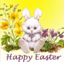 bunny