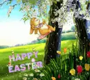 bunny