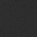 optical picture