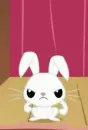 white bunny