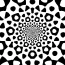 black and white optical picture