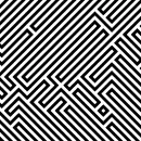 black and white optical picture