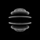 black and white optical picture