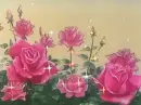 pink rosa