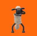 funny animated