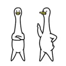 funny bird