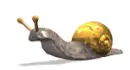 snail