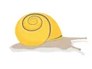 snail