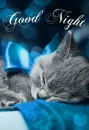 Good Night