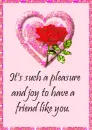 A friend Like you