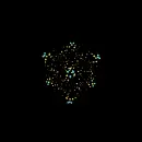 optical picture