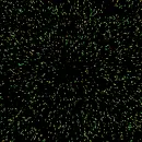 optical picture
