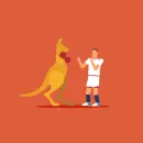 kangaroo box