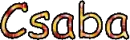 Csaba