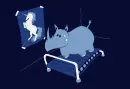funny animated