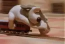 funny animated