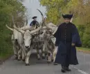Hortobagy in the rain