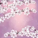 Spring ~ background