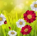 Spring ~ background