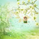 Spring ~ background