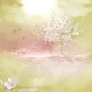 Spring ~ background
