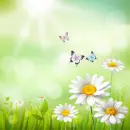 Spring ~ background