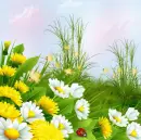 Spring ~ background