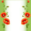 Spring ~ background