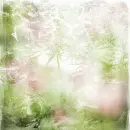 Spring ~ background
