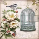 Spring ~ background ~ fg