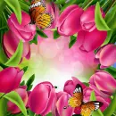 Spring ~ background ~ fg