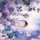 Spring ~ background