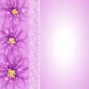 Spring ~ background ~ fg