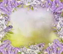 Spring ~ background ~ fg