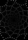 black-white optical picture