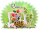 Rennie