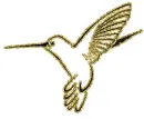hummingbird