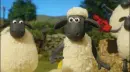 sheeps