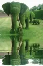 Green garden