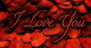 I love you