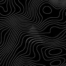 black and white optical picture