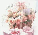 dianthus