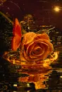 sparkles rosa