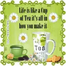 Life is . . . .