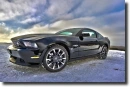 Mustang