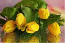 yellow flower