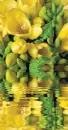 yellow freesia